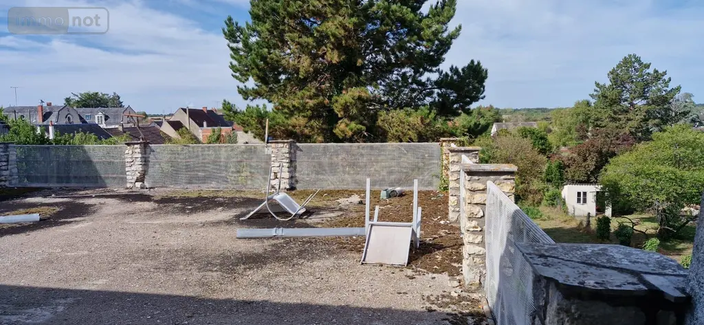 Maison a vendre Châtillon-sur-Indre 36700 Indre 36 315 m2 12 pièces 54200 euros 1052938 003