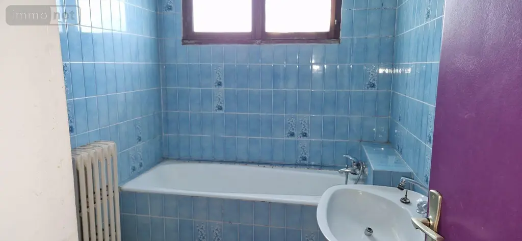 Maison a vendre Châtillon-sur-Indre 36700 Indre 36 315 m2 12 pièces 54200 euros 1052938 008