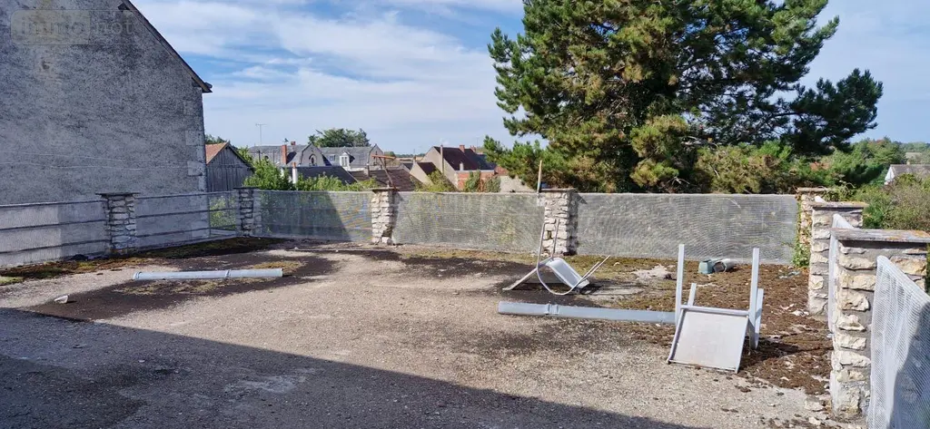 Maison a vendre Châtillon-sur-Indre 36700 Indre 36 315 m2 12 pièces 54200 euros 1052938 012