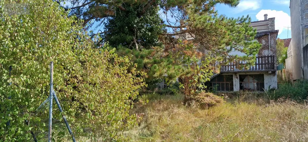 Maison a vendre Châtillon-sur-Indre 36700 Indre 36 315 m2 12 pièces 54200 euros 1052938 016