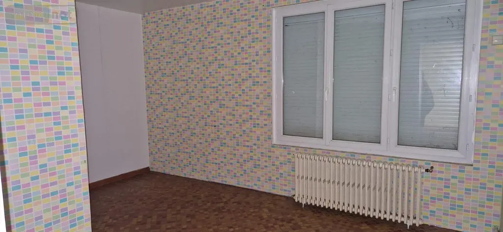 Maison a vendre Châtillon-sur-Indre 36700 Indre 36 315 m2 12 pièces 54200 euros 1052938 017