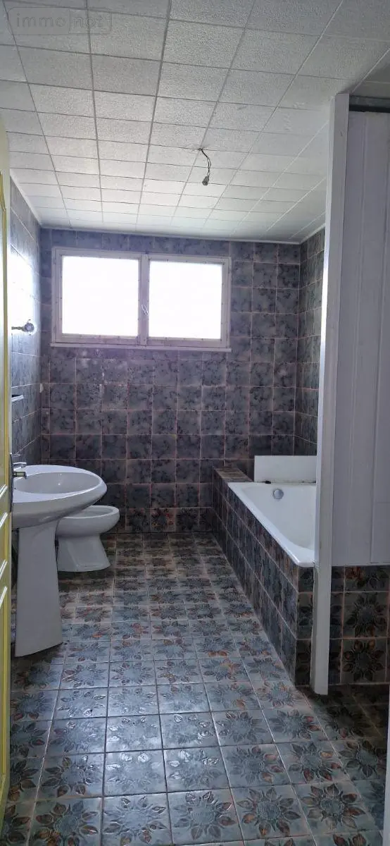 Maison a vendre Châtillon-sur-Indre 36700 Indre 36 315 m2 12 pièces 54200 euros 1052938 020
