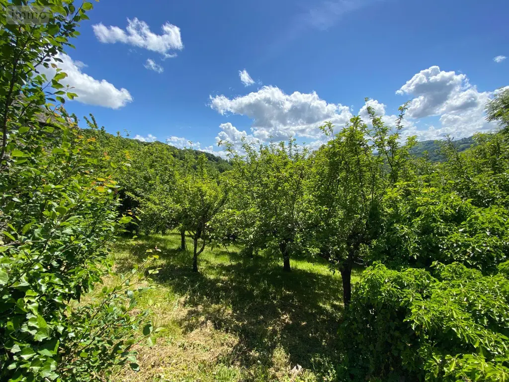 Maison a vendre Raulhac 15800 Cantal 15 70 m2 4 pièces 97520 euros 15061-105 010