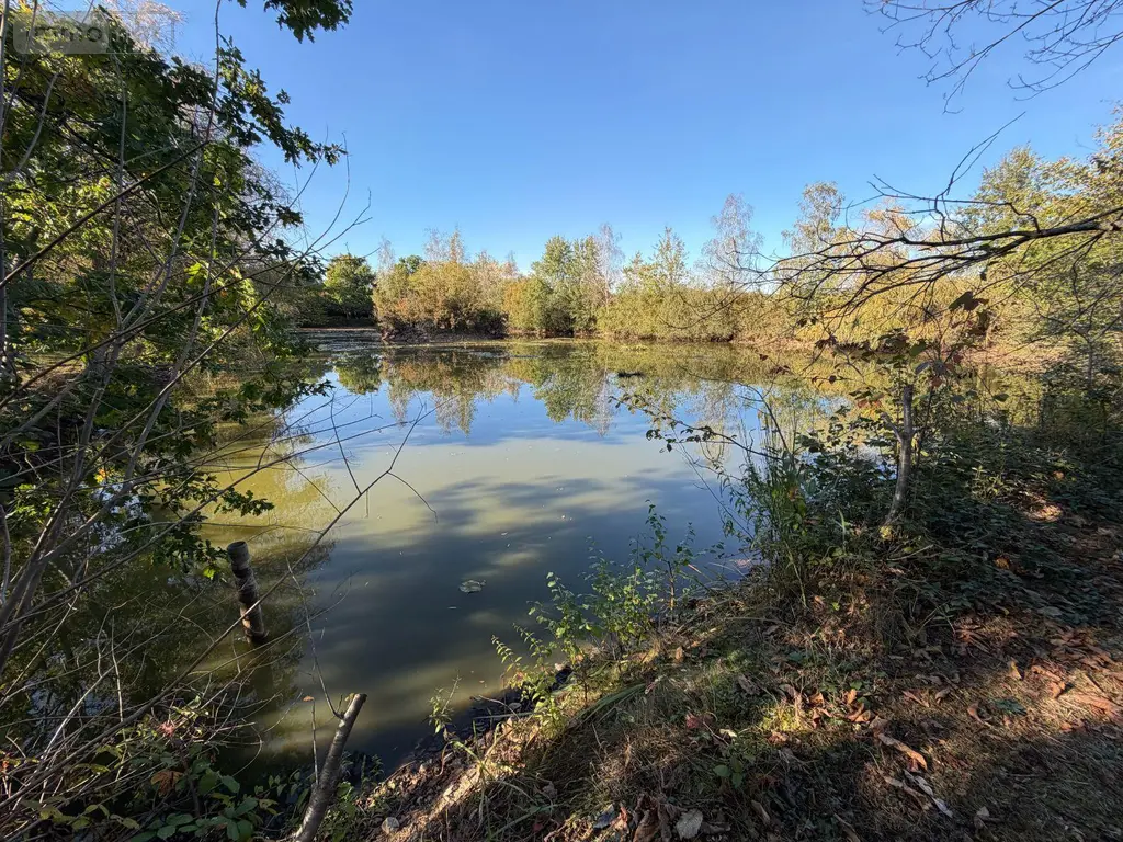 Terrains de loisirs bois etangs a vendre Alençon 61000 Orne 61 30 m2 74800 euros 61001-152 004