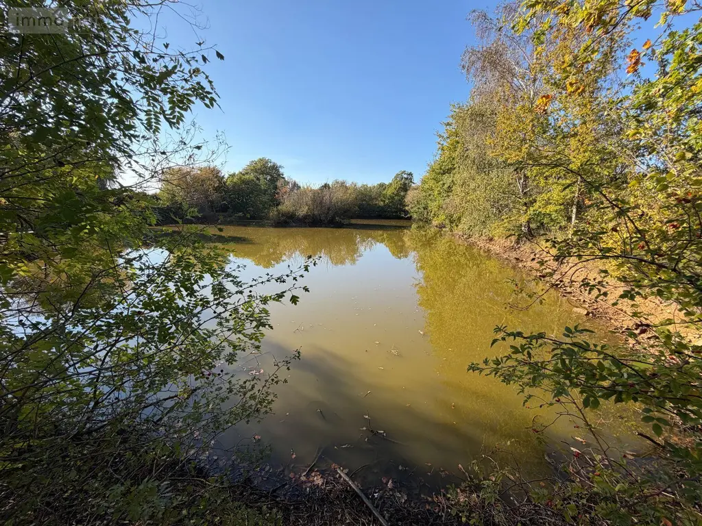Terrains de loisirs bois etangs a vendre Alençon 61000 Orne 61 30 m2 74800 euros 61001-152 005