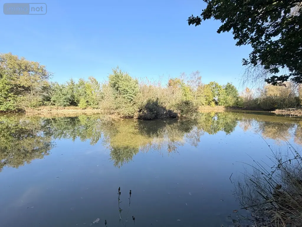 Terrains de loisirs bois etangs a vendre Alençon 61000 Orne 61 30 m2 74800 euros 61001-152 006