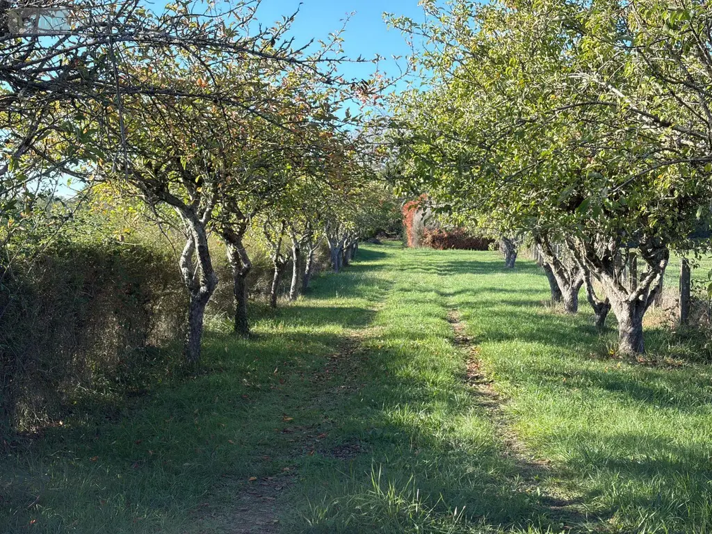 Terrains de loisirs bois etangs a vendre Alençon 61000 Orne 61 30 m2 74800 euros 61001-152 012