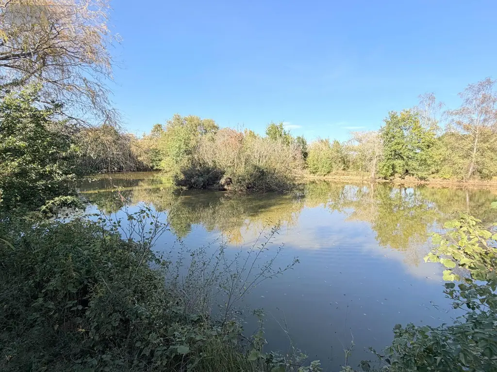Terrains de loisirs bois etangs a vendre Alençon 61000 Orne 61 30 m2 74800 euros 61001-152 011
