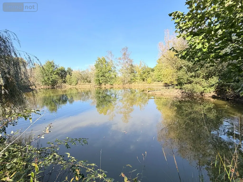 Terrains de loisirs bois etangs a vendre Alençon 61000 Orne 61 30 m2 74800 euros 61001-152 009