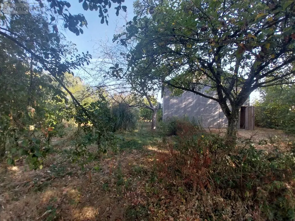Terrains de loisirs bois etangs a vendre La Chapelle-Erbrée 35500 Ille-et-Vilaine 35 59800 euros 35131-367 001
