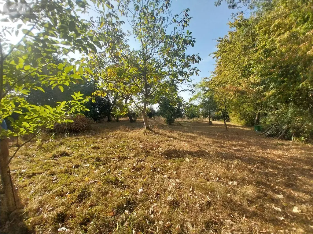 Terrains de loisirs bois etangs a vendre La Chapelle-Erbrée 35500 Ille-et-Vilaine 35 59800 euros 35131-367 006
