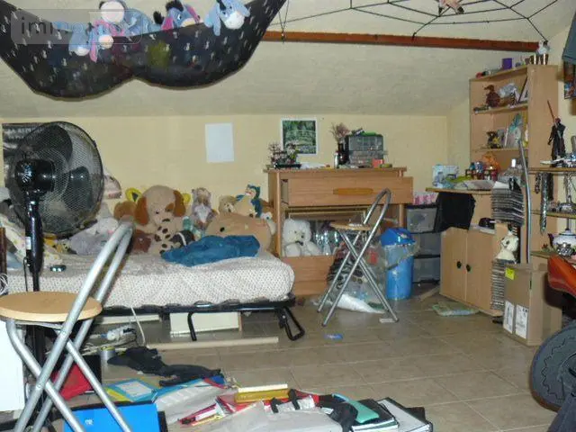 Maison a vendre Rambervillers 88700 Vosges 88 140 m2 7 pièces 156000 euros 2291 007