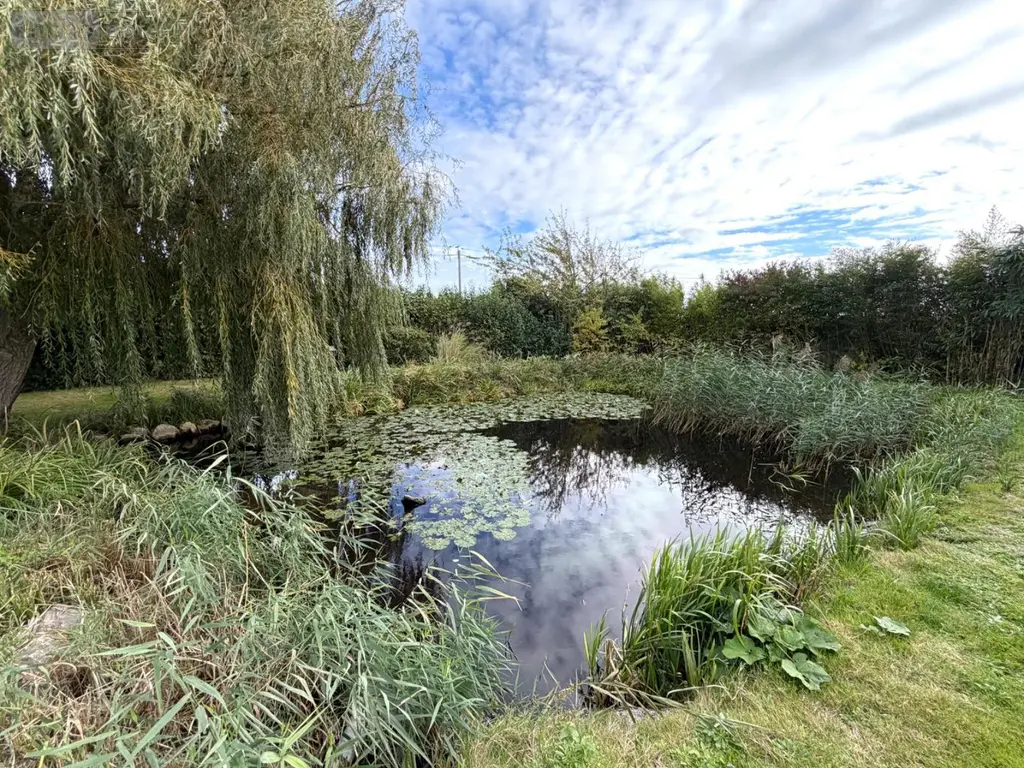 Maison a vendre Saint-Folquin 62370 Pas-de-Calais 62 220 m2 8 pièces 379900 euros G1267 024