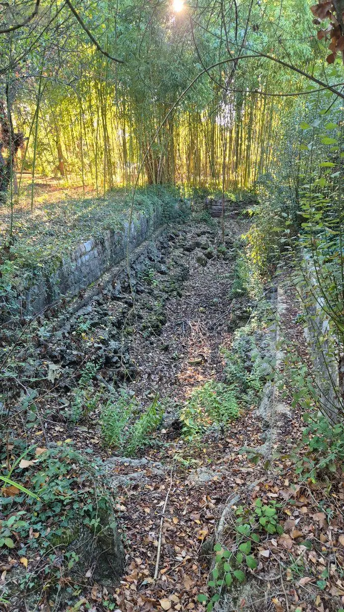 Terrains de loisirs bois etangs a vendre Saint-Célerin 72110 Sarthe 72 12640 euros 13808/730 004