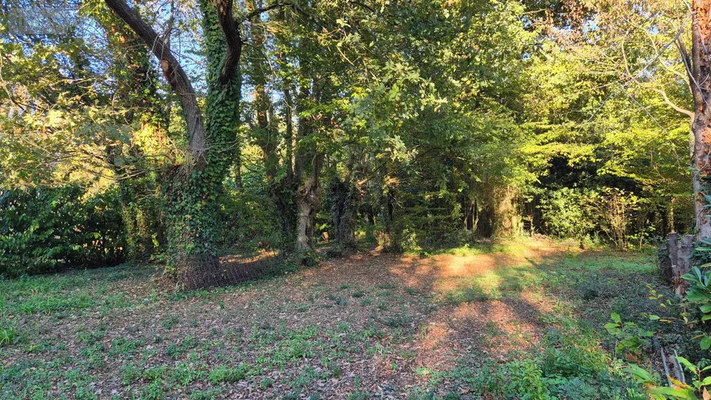 Terrains de loisirs bois etangs a vendre Saint-Célerin 72110 Sarthe 72 12640 euros 13808/730 005