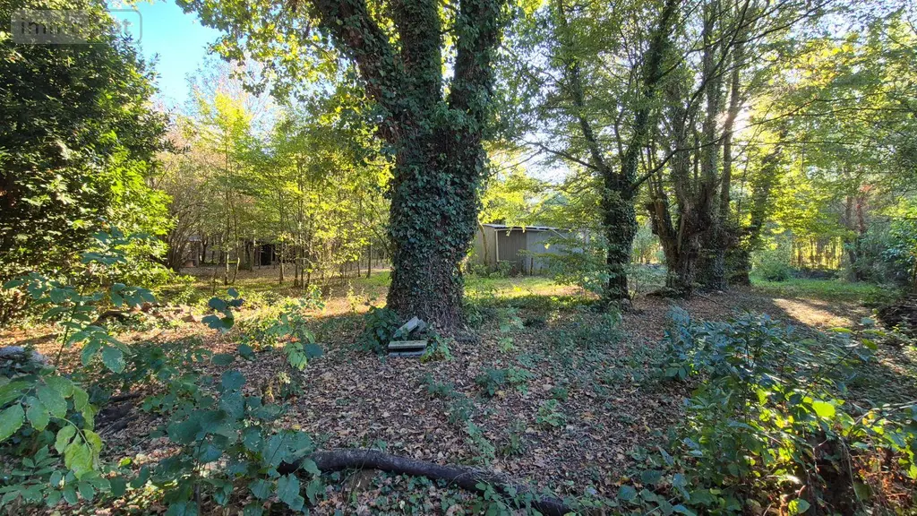 Terrains de loisirs bois etangs a vendre Saint-Célerin 72110 Sarthe 72 12640 euros 13808/730 006