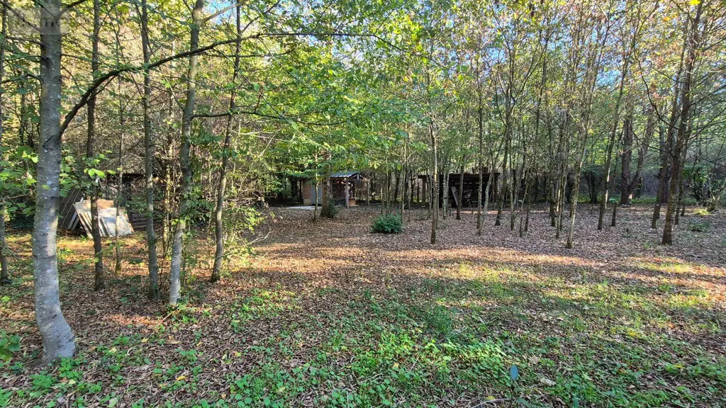 Terrains de loisirs bois etangs a vendre Saint-Célerin 72110 Sarthe 72 12640 euros 13808/730 007