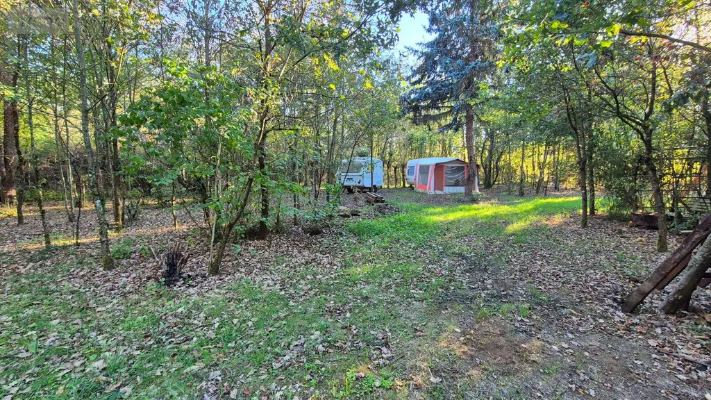 Terrains de loisirs bois etangs a vendre Saint-Célerin 72110 Sarthe 72 12640 euros 13808/730 008
