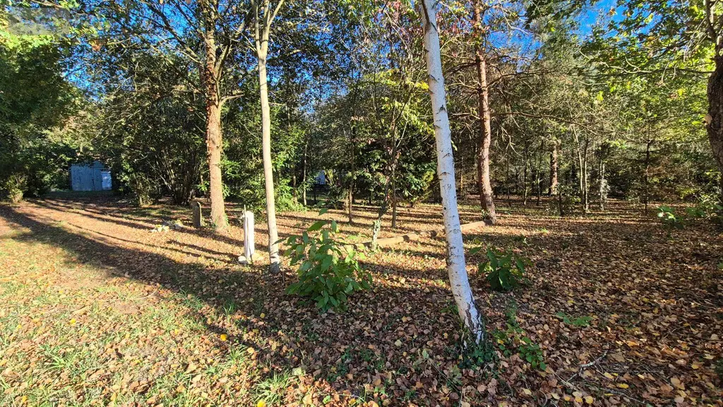 Terrains de loisirs bois etangs a vendre Saint-Célerin 72110 Sarthe 72 12640 euros 13808/730 009