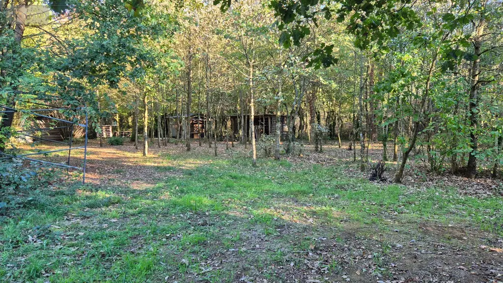 Terrains de loisirs bois etangs a vendre Saint-Célerin 72110 Sarthe 72 12640 euros 13808/730 010