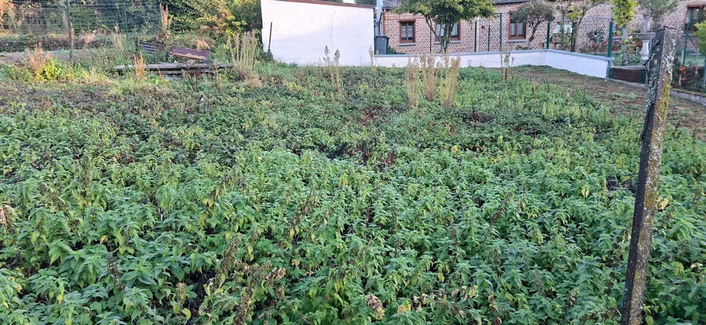 Maison a vendre Rougeries 02140 Aisne 02 47 m2 2 pièces 13440 euros 02014/918 003