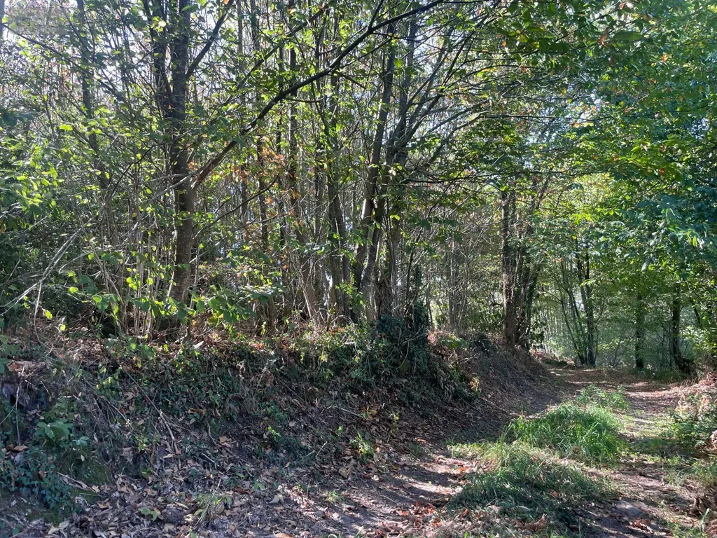 Terrains de loisirs bois etangs a vendre Hambers 53160 Mayenne 53 5320 euros 12703/3818 002