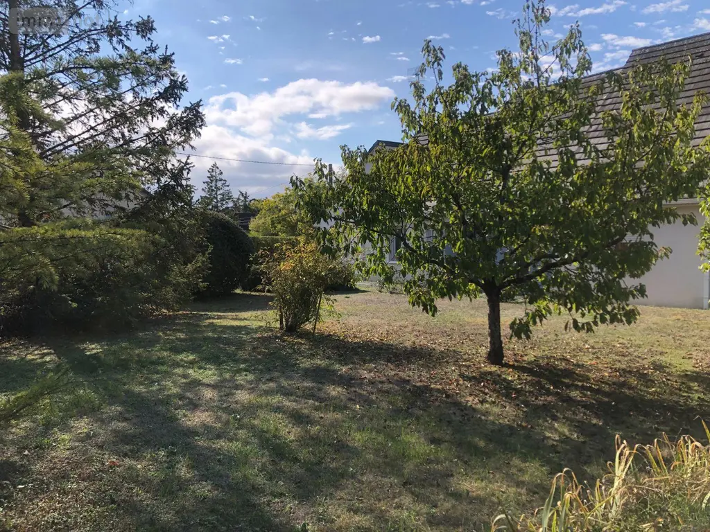 Maison a vendre Issoudun 36100 Indre 36 156 m2 5 pièces 241040 euros 11813/1553 018