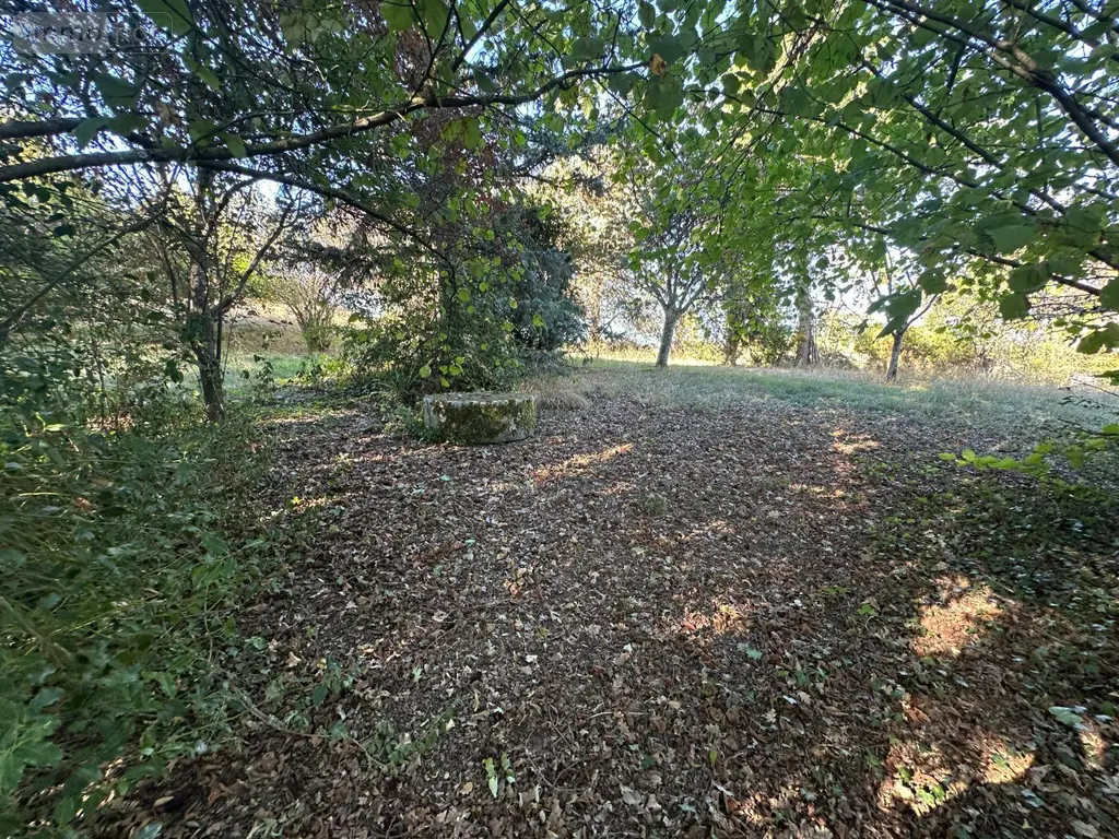 Maison a vendre Montrichard Val de Cher 41400 Loir-et-Cher 41 105 m2 5 pièces 126677 euros 12101/1367 020