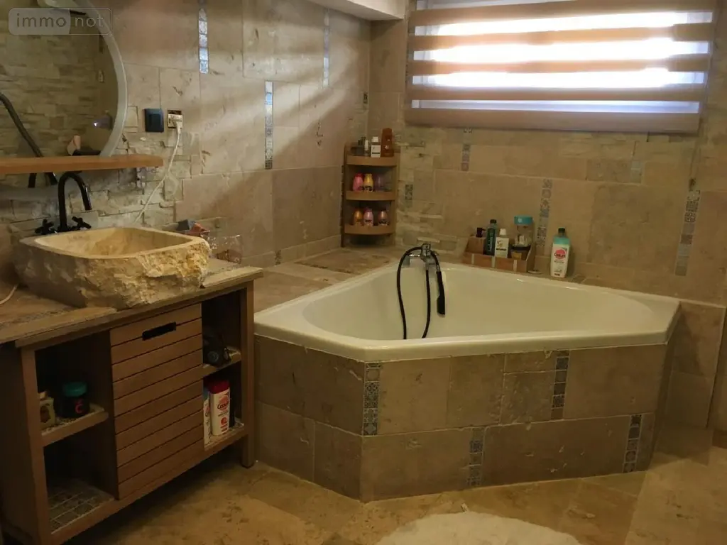 Maison a vendre Brie 35150 Ille-et-Vilaine 35 274 m2 7 pièces 624000 euros 134/4107 009