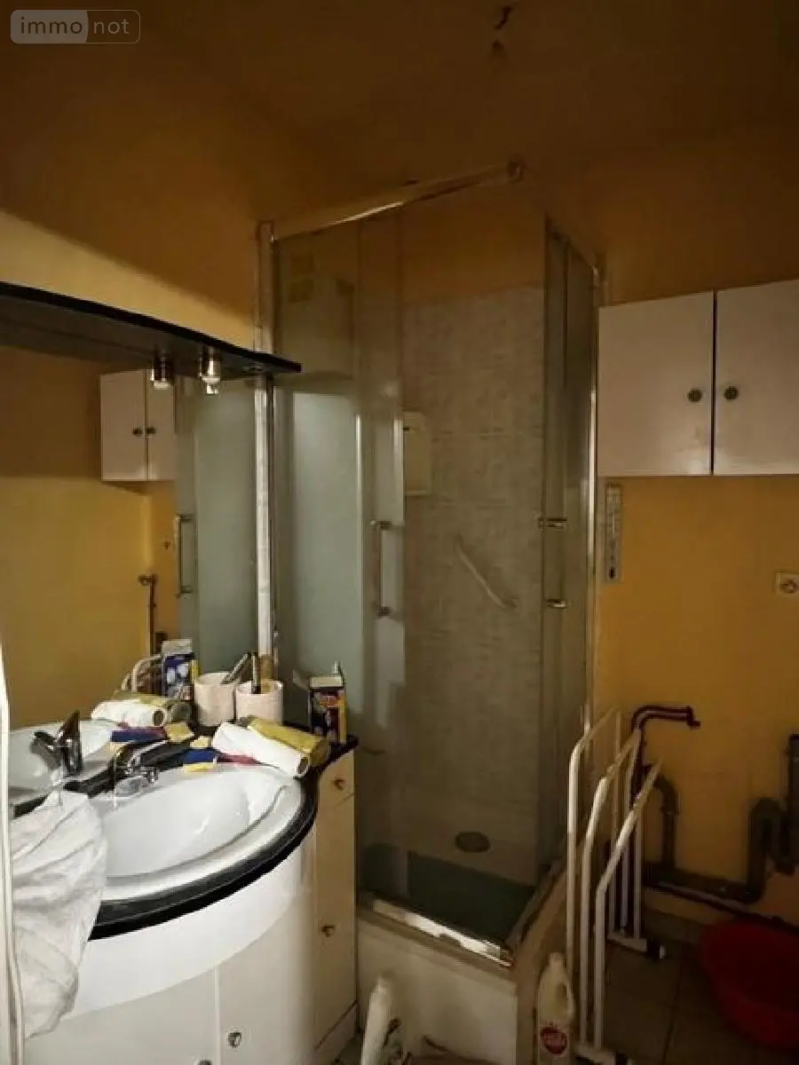 Immeuble de rapport a vendre Janzé 35150 Ille-et-Vilaine 35 146 m2 209600 euros 134/4388 005