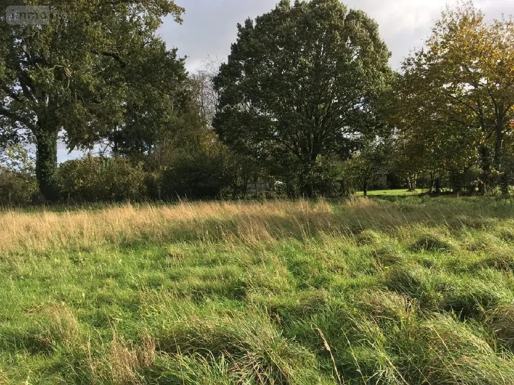 Terrain a batir a vendre Servon-sur-Vilaine 35530 Ille-et-Vilaine 35 1100 m2 157800 euros 134/4096 005