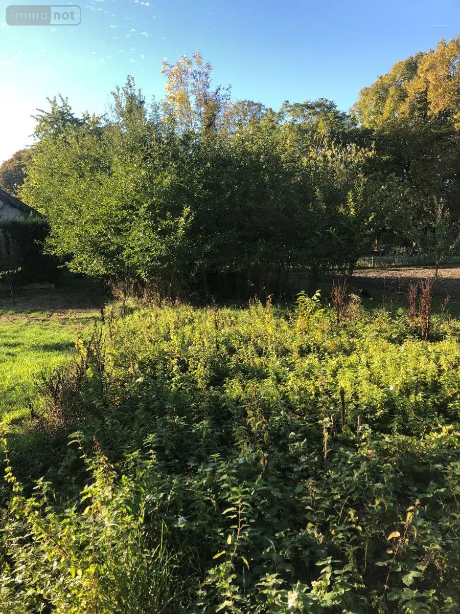 Maison a vendre Issoudun 36100 Indre 36 83 m2 3 pièces 79500 euros 11813/1554 013