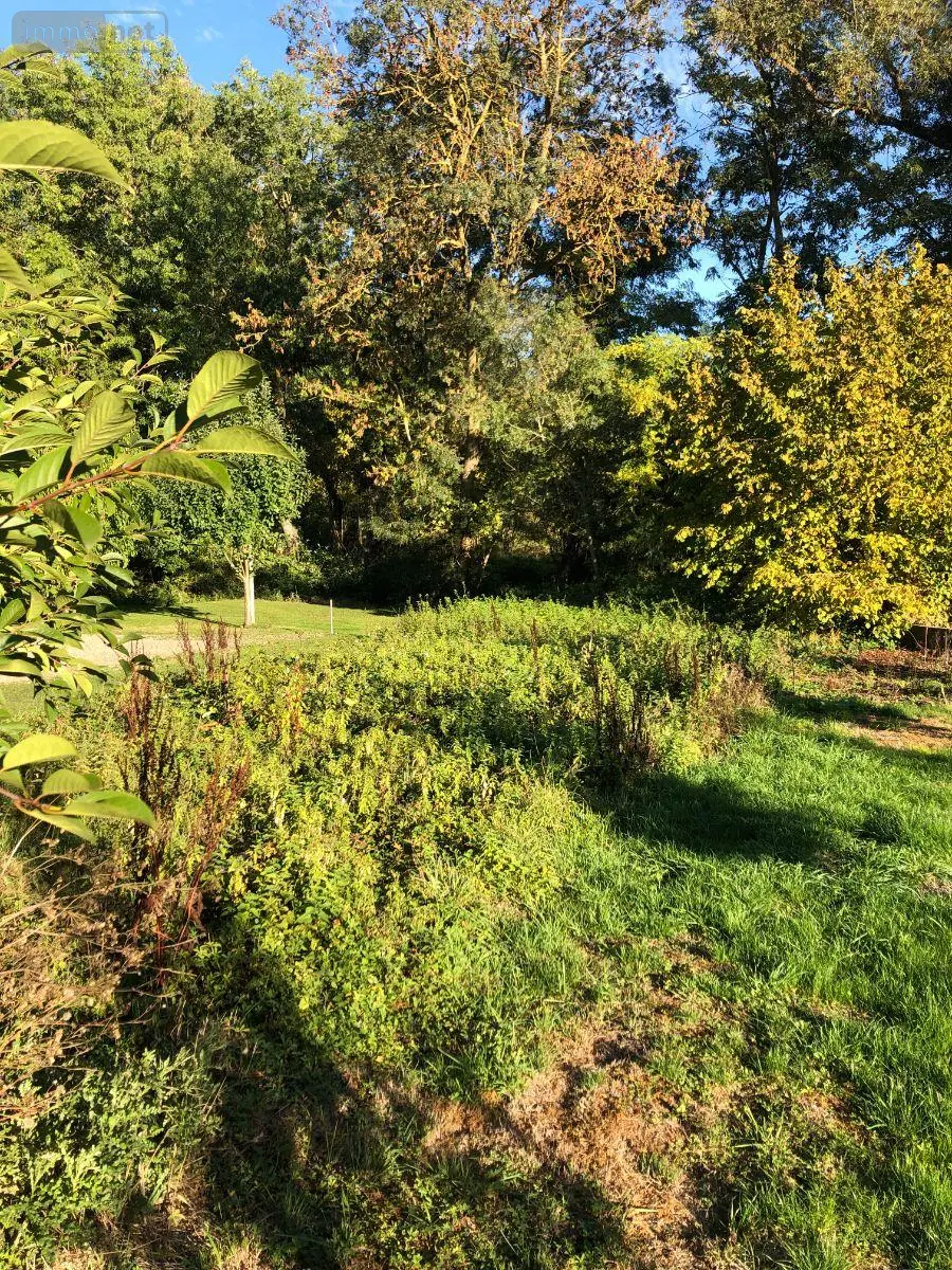 Maison a vendre Issoudun 36100 Indre 36 83 m2 3 pièces 79500 euros 11813/1554 014