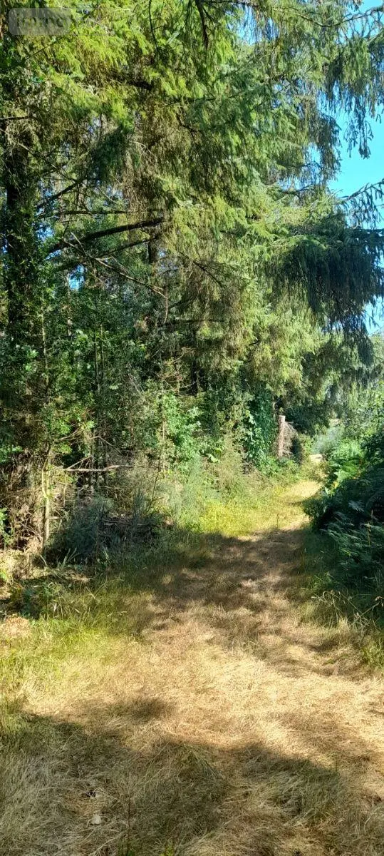 Terrains de loisirs bois etangs a vendre Trégarvan 29560 Finistère 29 18000 euros 29060-8 002