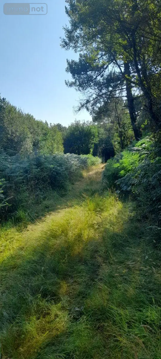 Terrains de loisirs bois etangs a vendre Trégarvan 29560 Finistère 29 18000 euros 29060-8 003