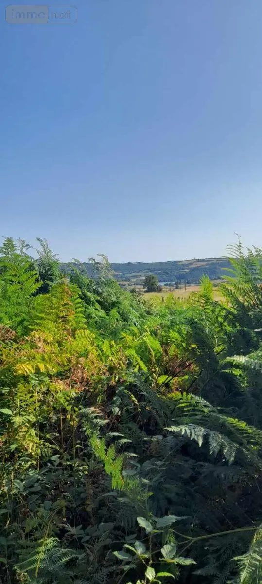 Terrains de loisirs bois etangs a vendre Trégarvan 29560 Finistère 29 18000 euros 29060-8 006