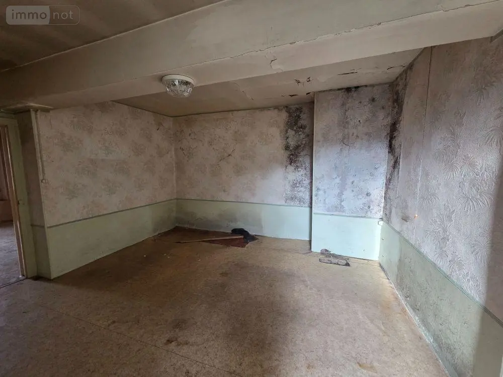 Maison a vendre Villiers-le-Bois 10210 Aube 10 73 m2 4 pièces 20000 euros 10063/1305 003