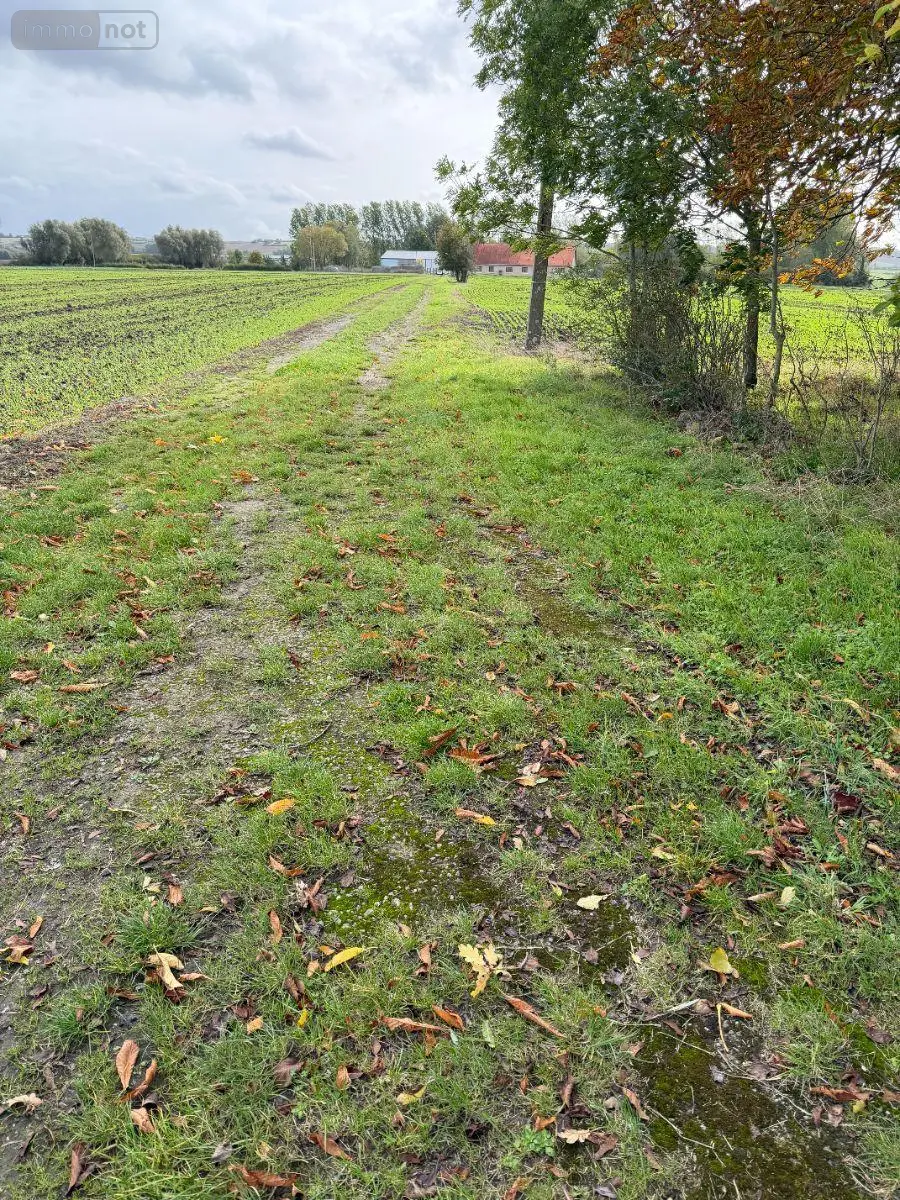 Maison a vendre Eringhem 59470 Nord 59 150 m2 5 pièces 117000 euros Z997 002