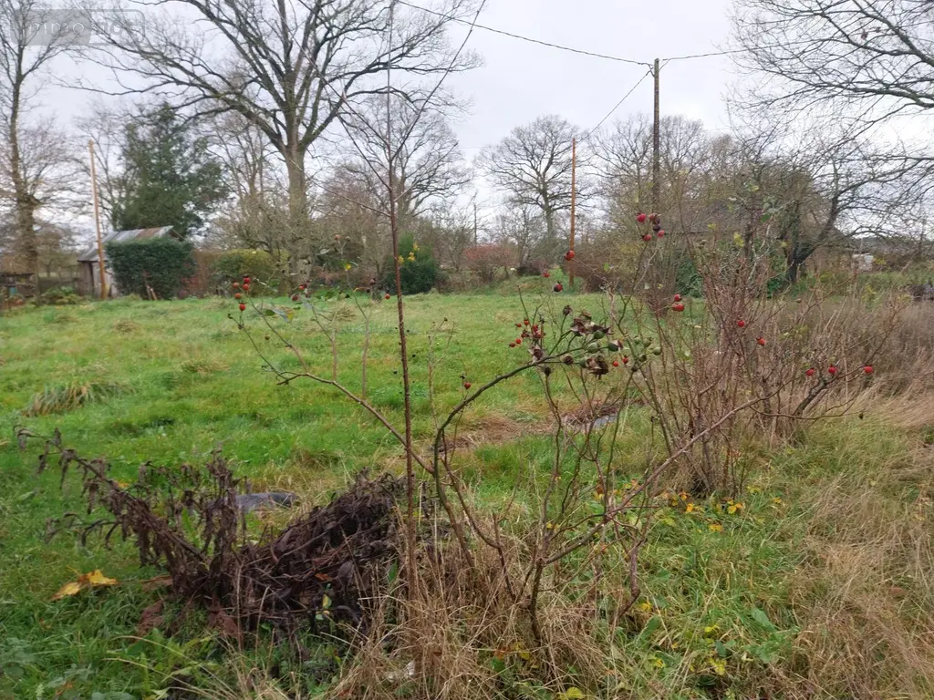 Maison a vendre Mecé 35450 Ille-et-Vilaine 35 172 m2 84800 euros 35131-375 007