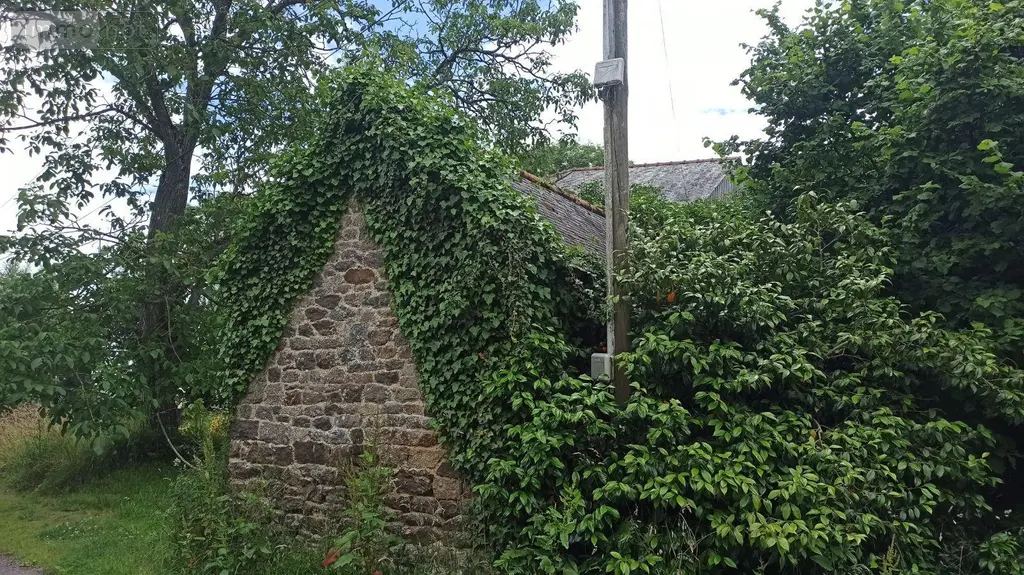 Terrain a batir a vendre Combourg 35270 Ille-et-Vilaine 35 505 m2 90950 euros 091-917 004