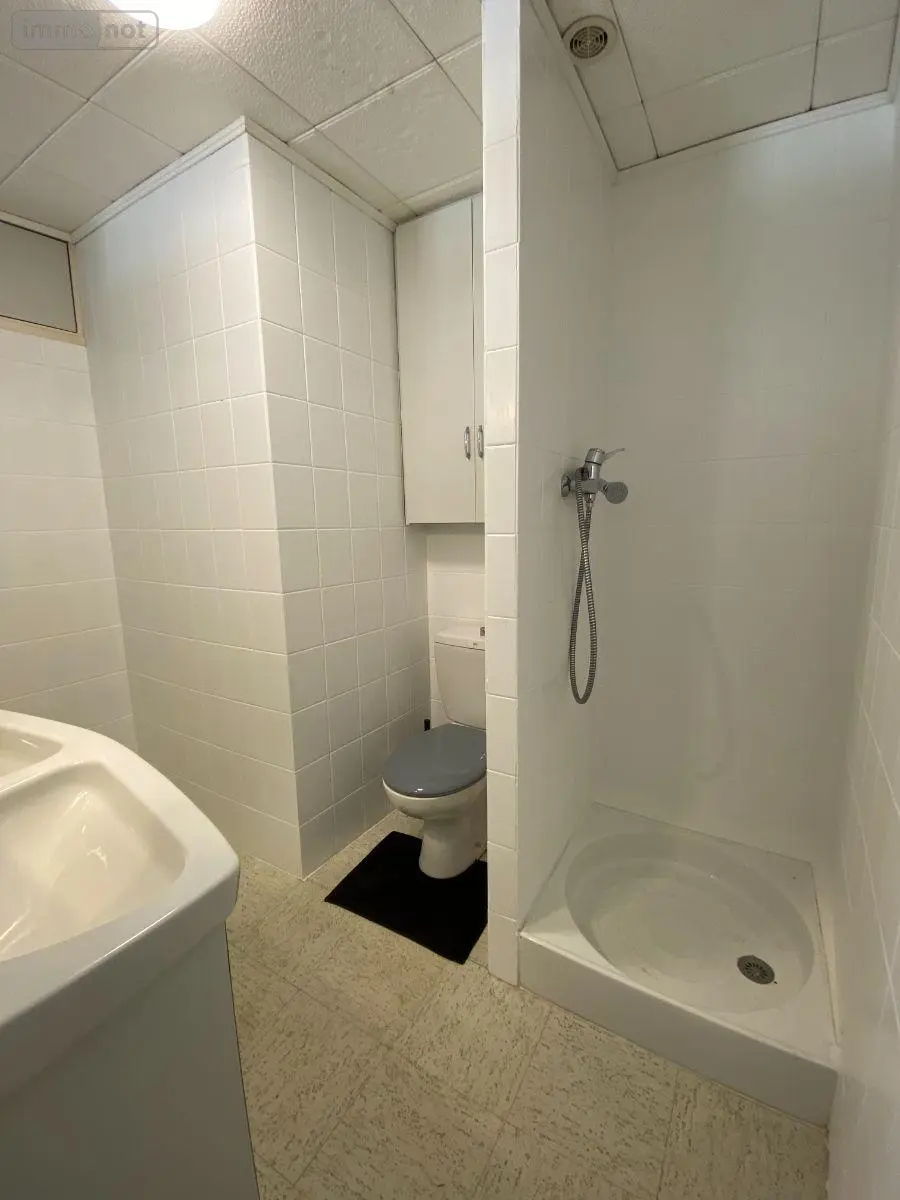 Maison a vendre Buzançais 36500 Indre 36 77 m2 3 pièces 94480 euros 1052913 011