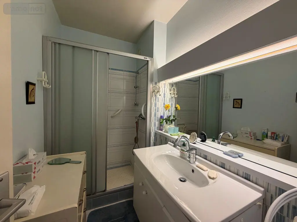 Appartement a vendre Limoges 87000 Haute-Vienne 87 92 m2 3 pièces 243950 euros 87006/1320 009