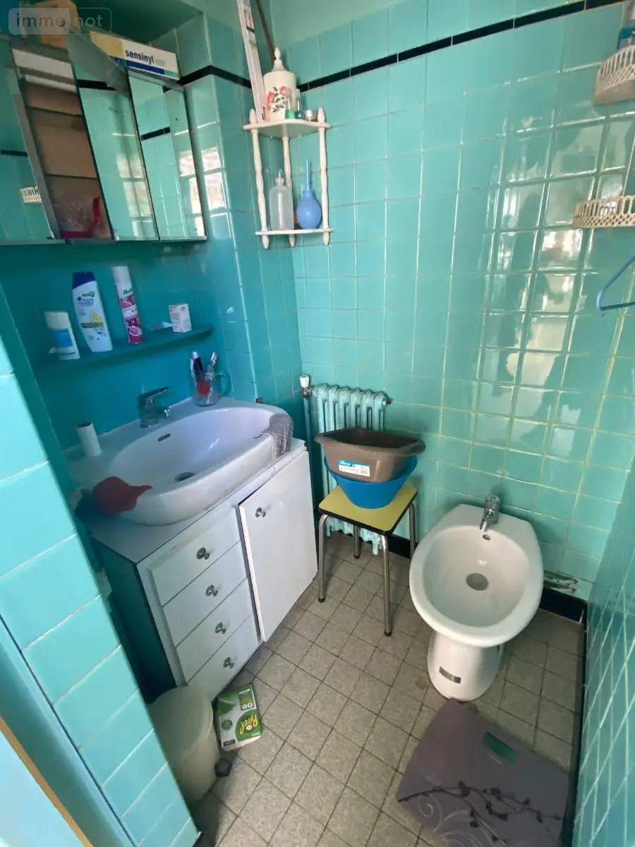 Immeuble de rapport a vendre Bordeaux 33800 Gironde 33 217 m2 398240 euros 016/1139 007