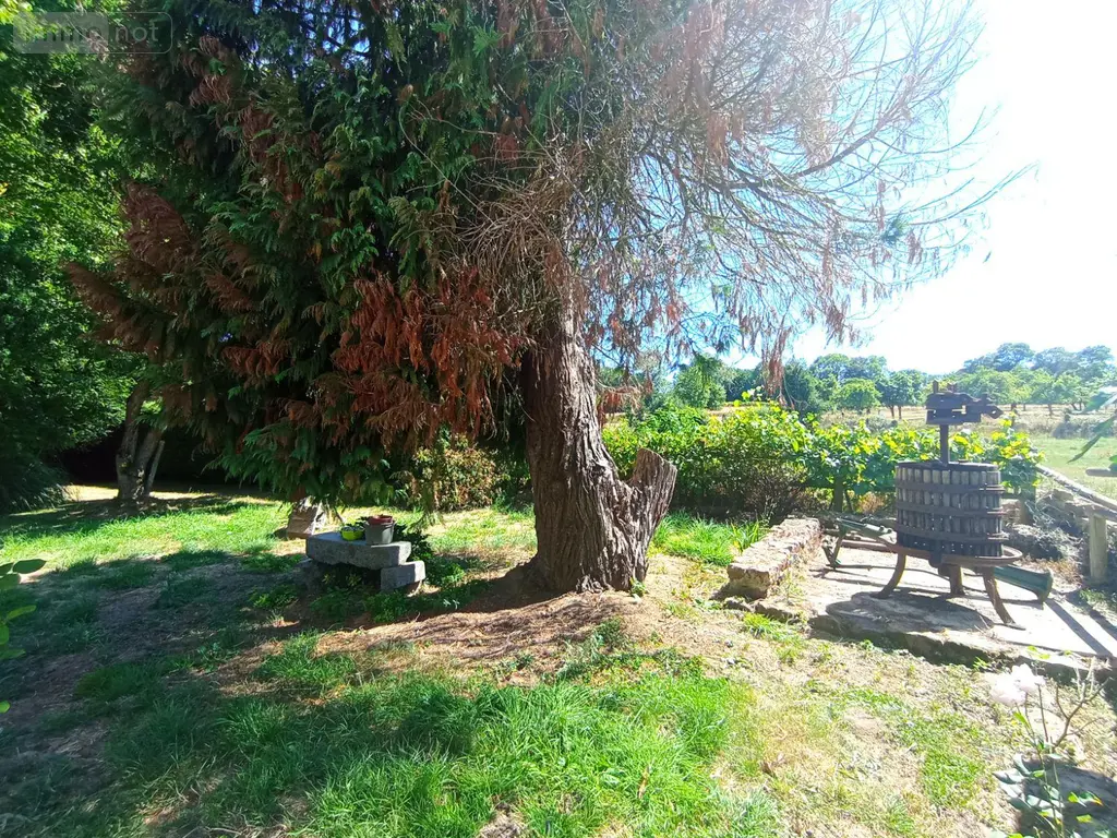 Maison a vendre La Lande-Saint-Siméon 61100 Orne 61 46 m2 2 pièces 85200 euros 14085-3729 009