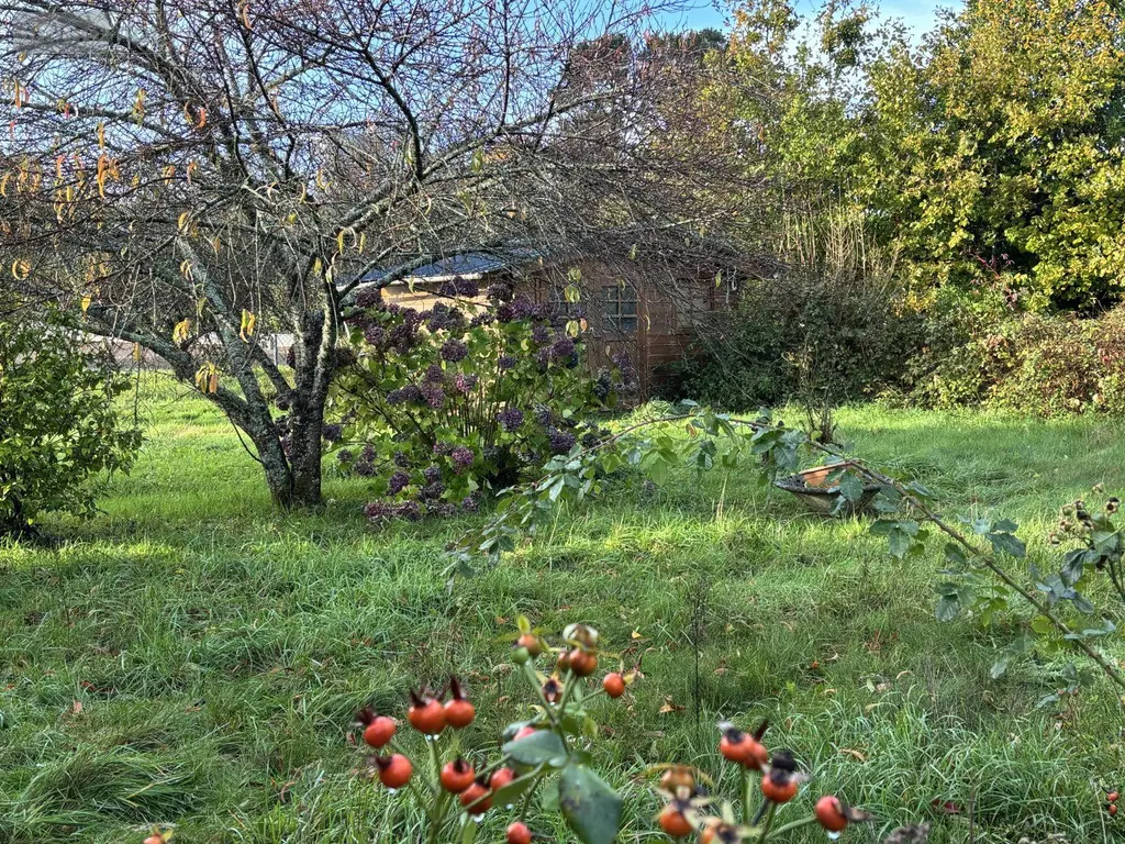 Maison a vendre Plonévez-du-Faou 29530 Finistère 29 49 m2 3 pièces 126000 euros 203 018