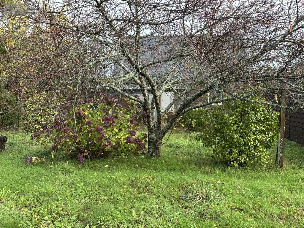 Maison a vendre Plonévez-du-Faou 29530 Finistère 29 49 m2 3 pièces 126000 euros 203 020