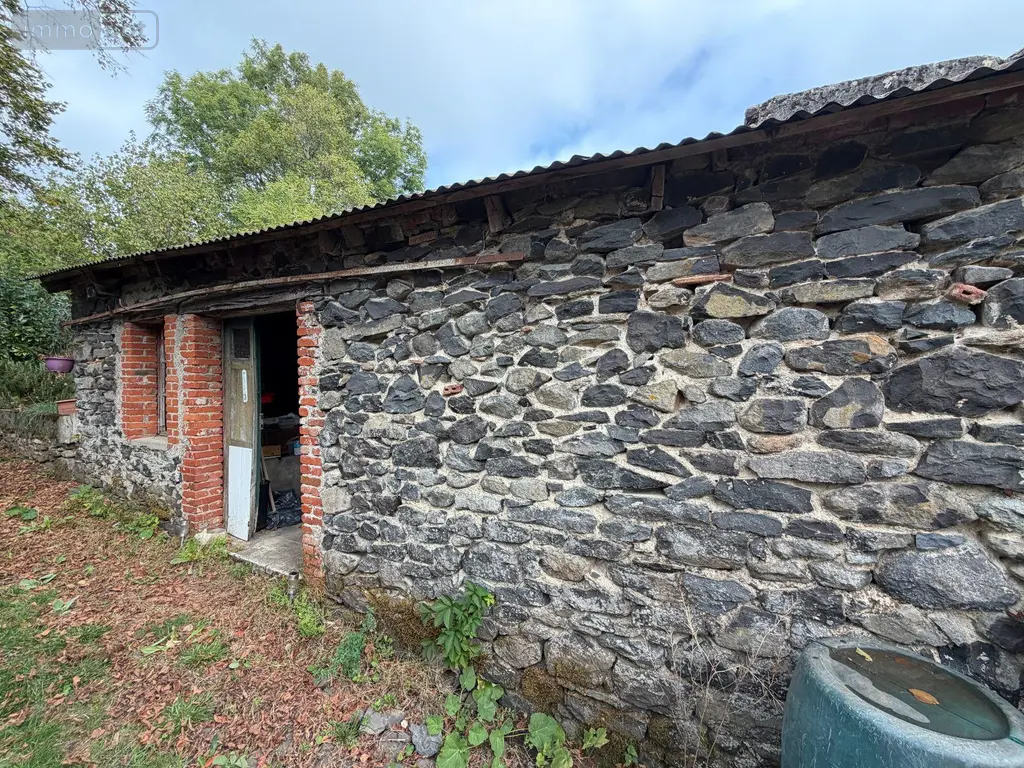 Immeuble de rapport a vendre Mauriac 15200 Cantal 15 243800 euros 15060/1307 008