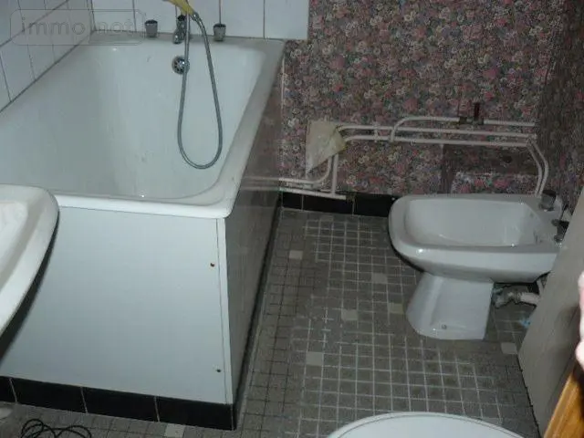 Appartement a vendre Remiremont 88200 Vosges 88 180 m2 10 pièces 115000 euros 2292 007