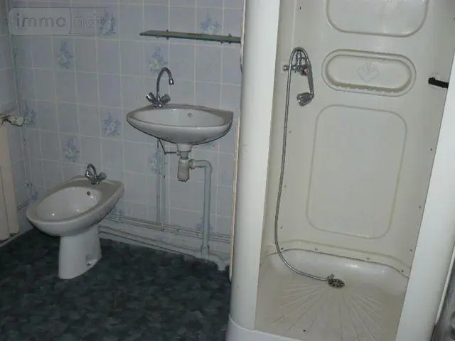 Appartement a vendre Remiremont 88200 Vosges 88 180 m2 10 pièces 115000 euros 2292 011