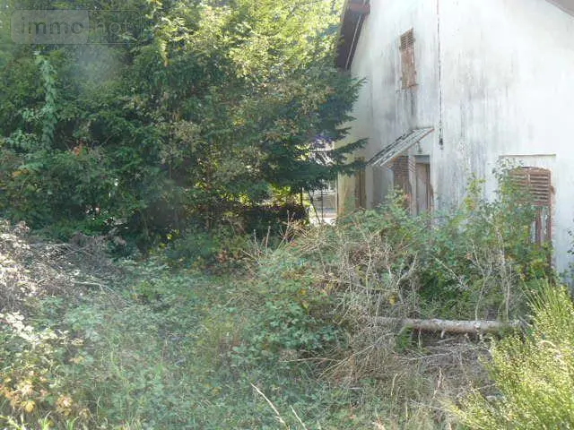 Appartement a vendre Remiremont 88200 Vosges 88 180 m2 10 pièces 115000 euros 2292 014